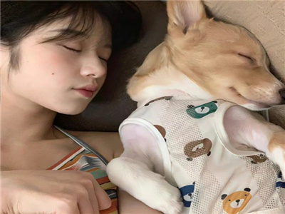 黄色软件18,揭秘“青少年杀手”：网络陷阱不容忽视-2