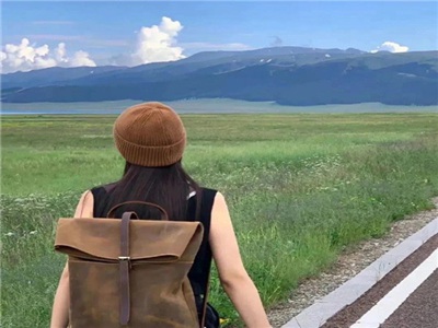 泰山h1995版,汽车新宠：泰山h1995版亮相引关注-3