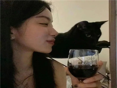 十大污网站,网络净化行动：揭秘“十大污网站”