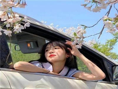 海角天涯绿意盎然妈妈,守护绿色家园，岛民母亲成环保英雄-3