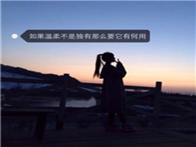 独家爆料,企业巨变，新CEO将引领行业新高峰-3
