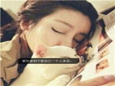 大象传媒视频app软件,视频新宠：大象传媒APP引关注-4