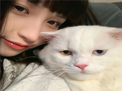91传媒13个女演员,娱乐圈风波：91传媒13女星神秘合影引猜测-2