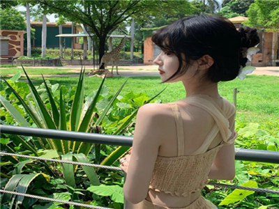 palipali@pali.love2.3.5,奇幻世界寻宝藏，解谜探险乐趣多-4