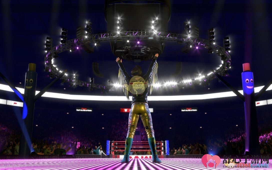 《WWE 2K20》游戏收藏版内容一览