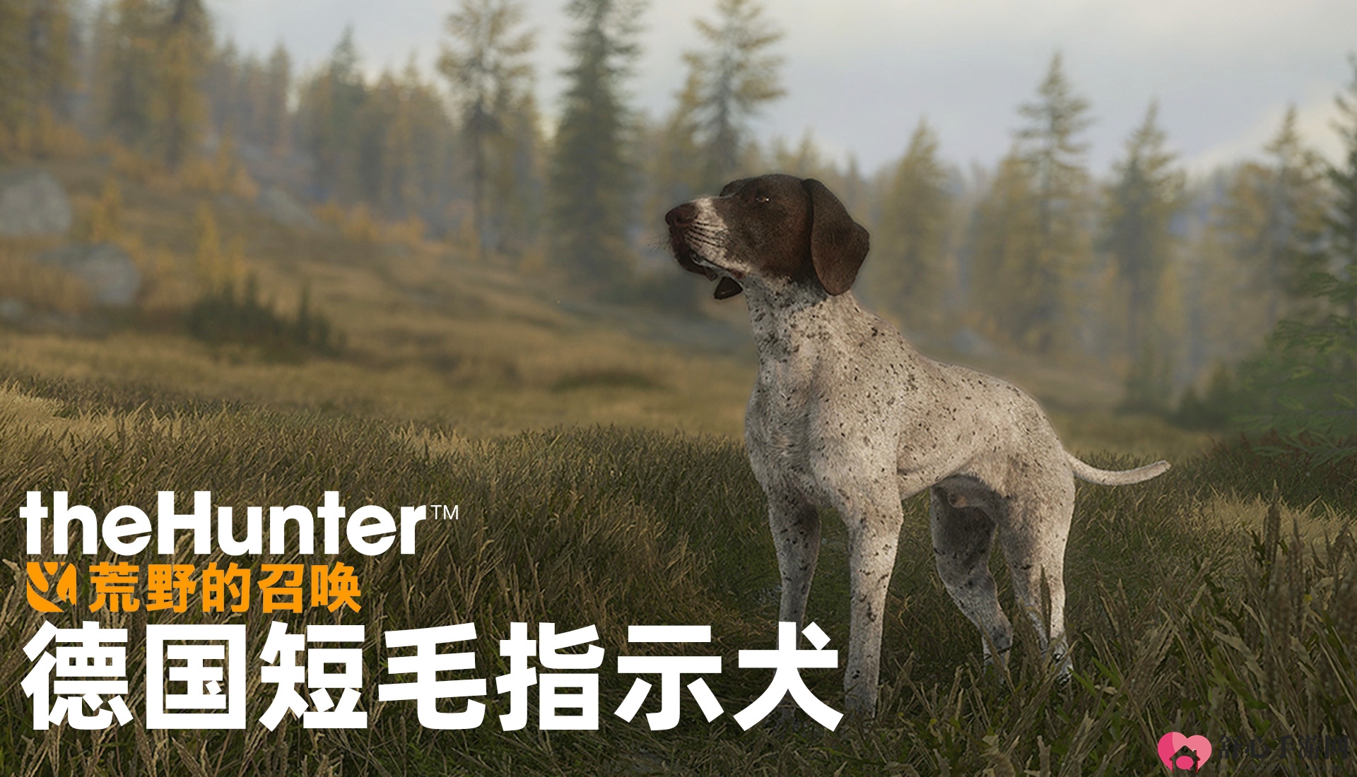 《猎人：荒野的召唤》三款全新DLC和免费更新 已登陆PlayStation、Xbox和PC
