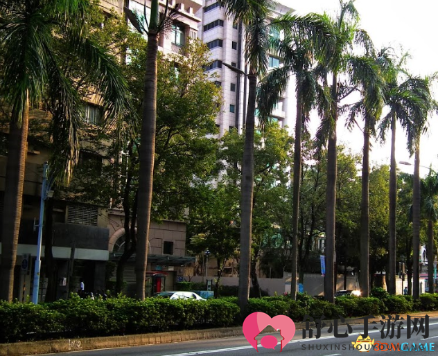 令人震惊：男子不幸遭坠落树叶夺命