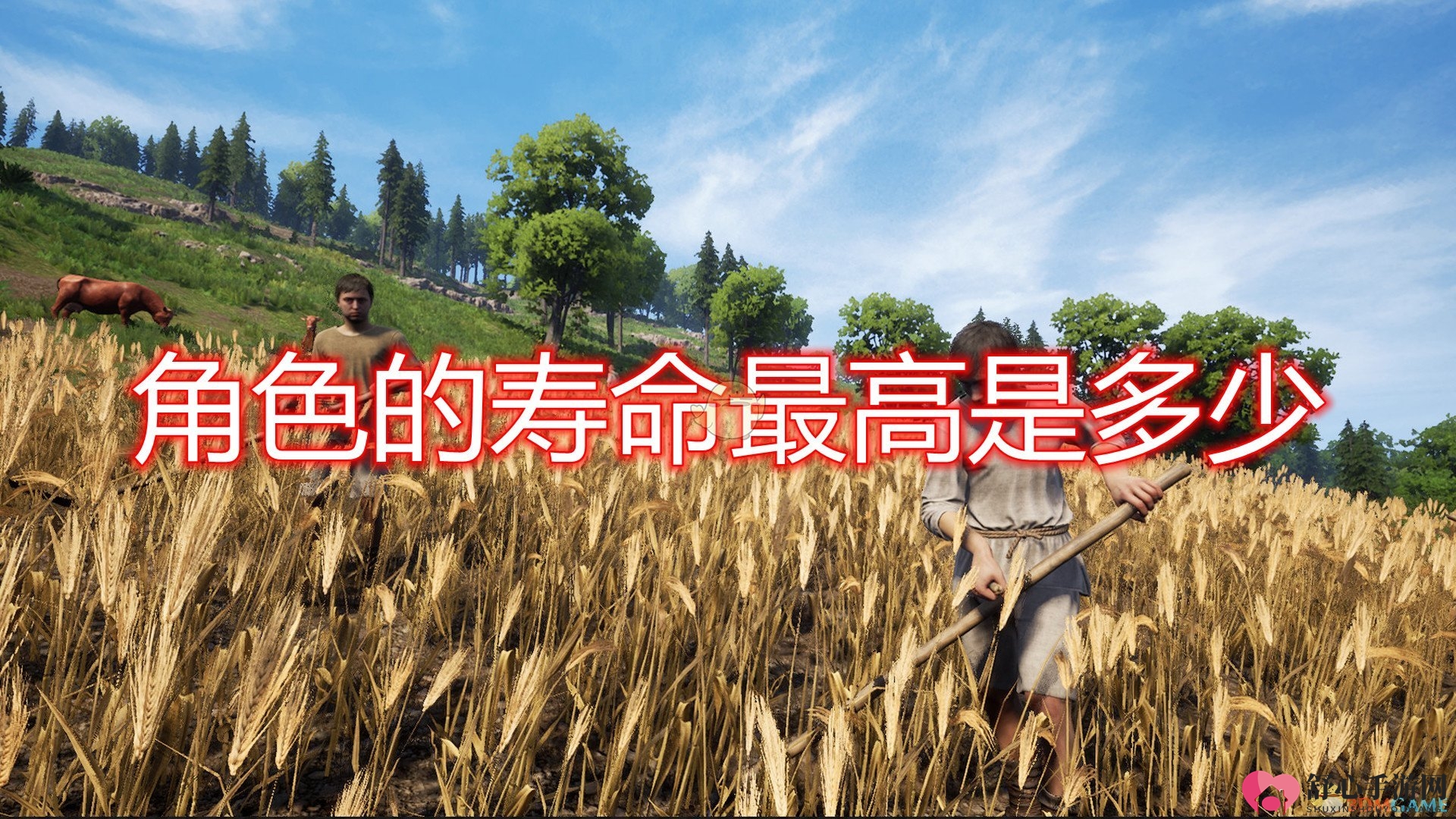 《中世纪王朝》角色寿命上限介绍