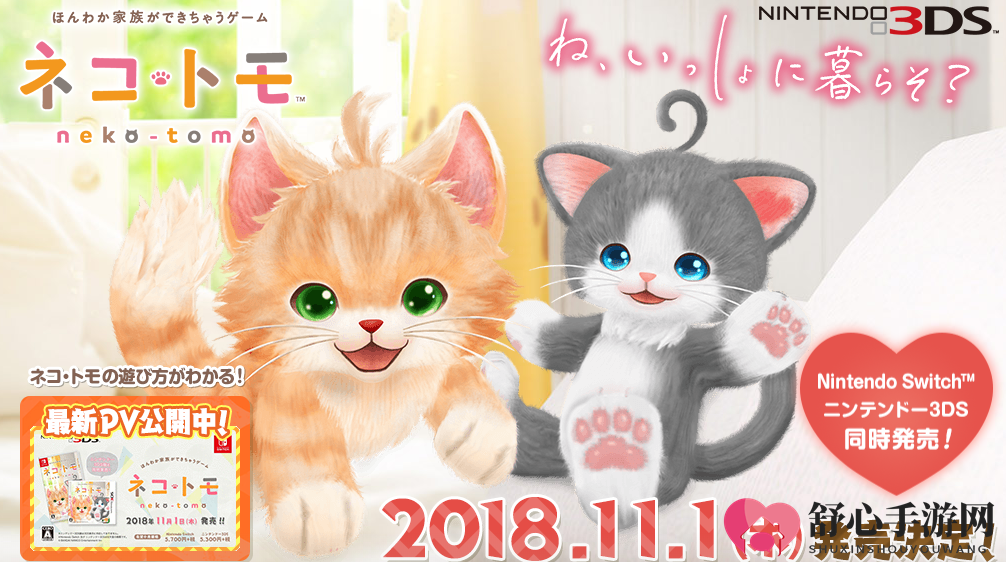 逗猫游戏《NEKO-TOMO》新鲜猫咪乐趣日常揭晓
